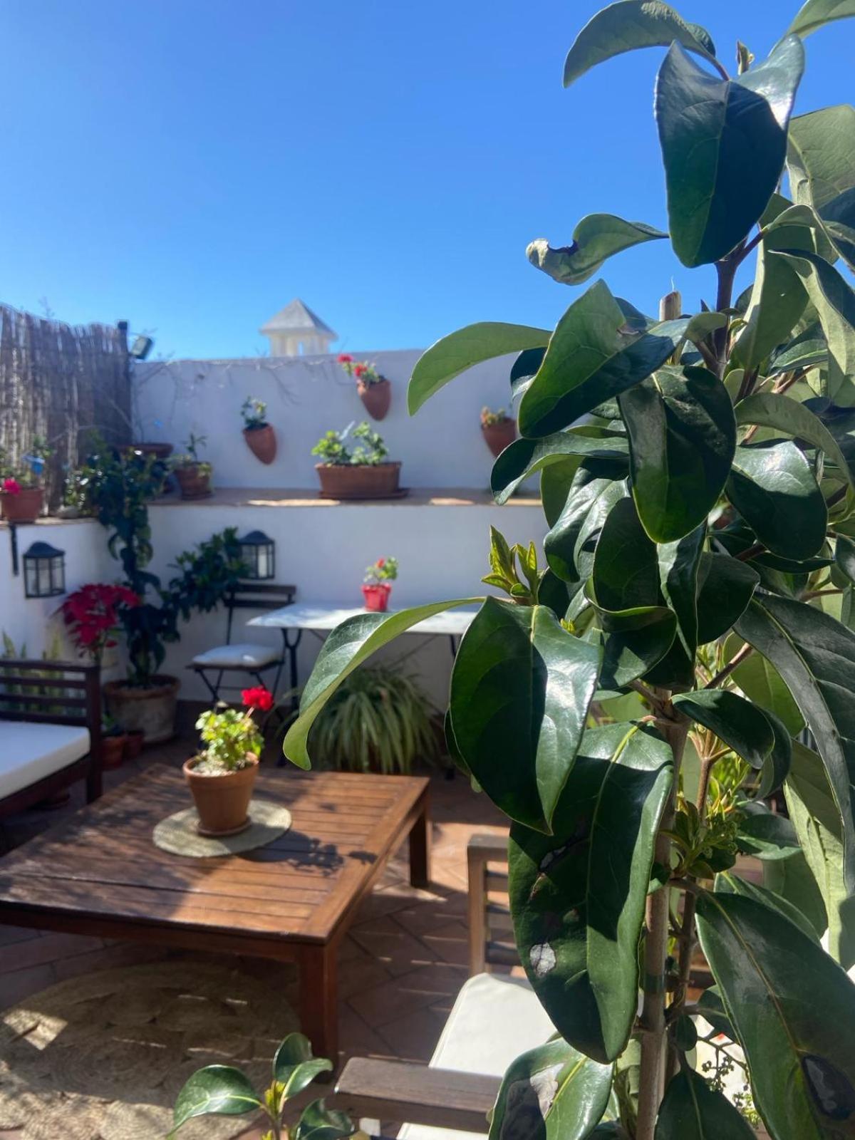 La Gitanilla Alojamiento & Encanto Jerez Херес-де-ла-Фронтера Екстер'єр фото